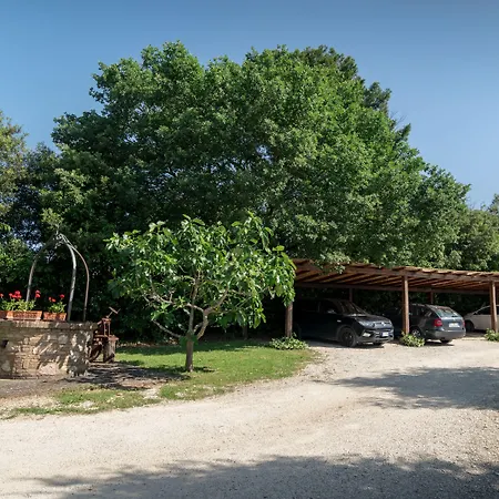 Il Giardino Dei Ciliegi Lantgård Passaggio di Assisi