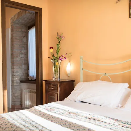 Il Giardino Dei Ciliegi *