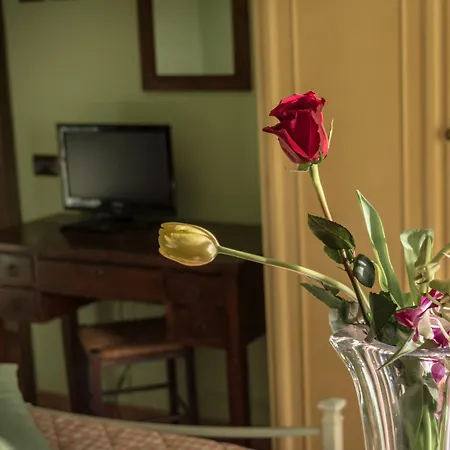 Il Giardino Dei Ciliegi