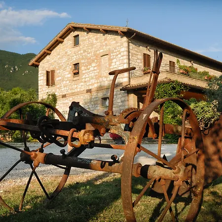 Il Giardino Dei Ciliegi Passaggio Di Assisi
