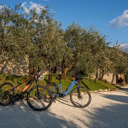 Il Giardino Dei Ciliegi Passaggio di Assisi
