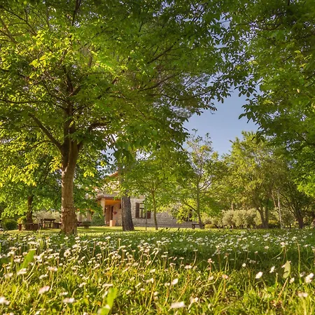 Il Giardino Dei Ciliegi * Passaggio di Assisi
