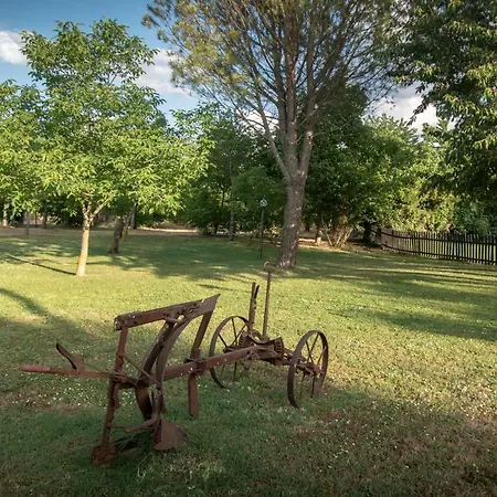 Il Giardino Dei Ciliegi * Passaggio Di Assisi