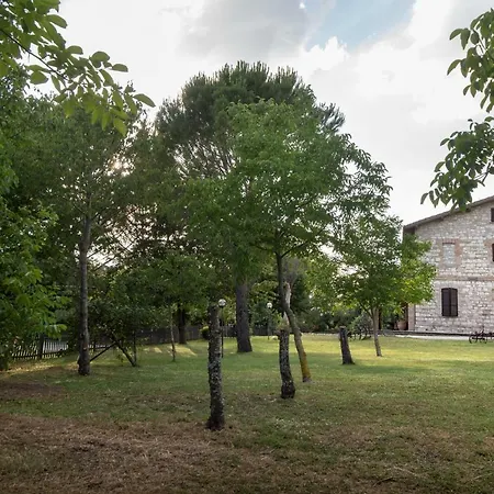Il Giardino Dei Ciliegi Passaggio di Assisi