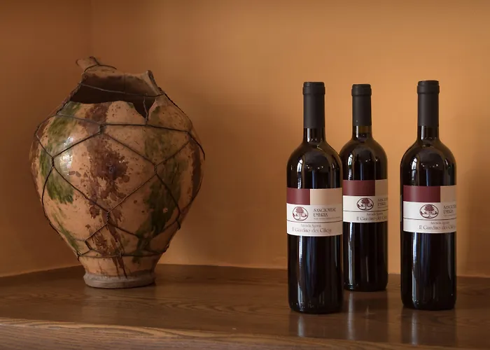 Il Giardino Dei Ciliegi Lantgård Passaggio di Assisi