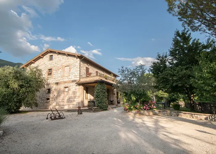 Il Giardino Dei Ciliegi *