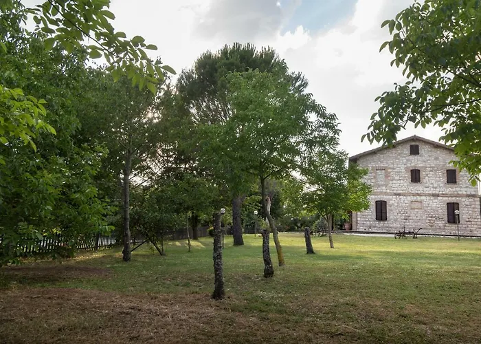 Il Giardino Dei Ciliegi Passaggio Di Assisi
